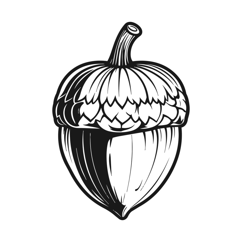Black line art acorn with scaled cap, shaded nut and curved stem