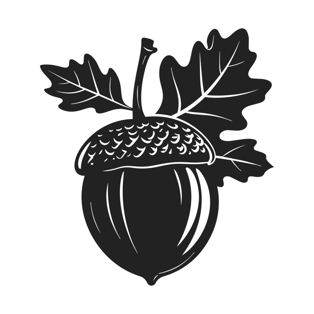 Acorn SVG cut file – SVG, PNG, DXF