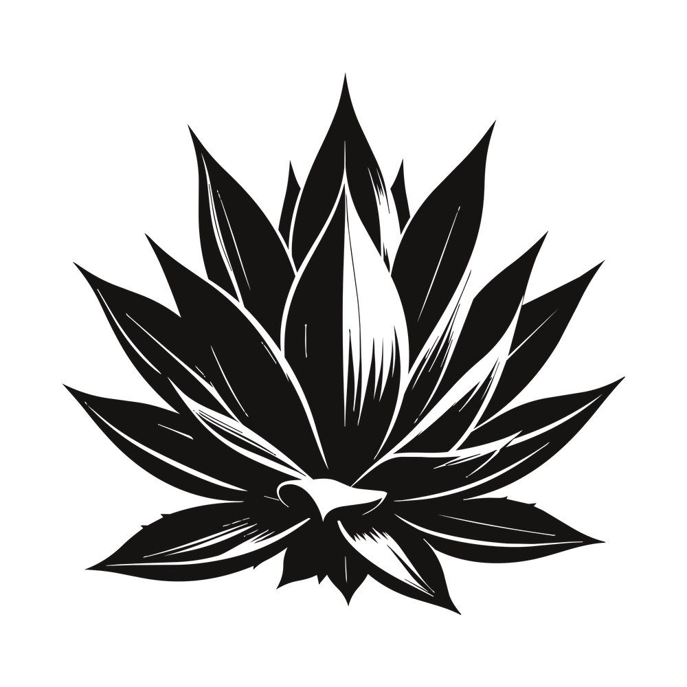 Black agave plant silhouette with thick pointed leaves and carved white line shading