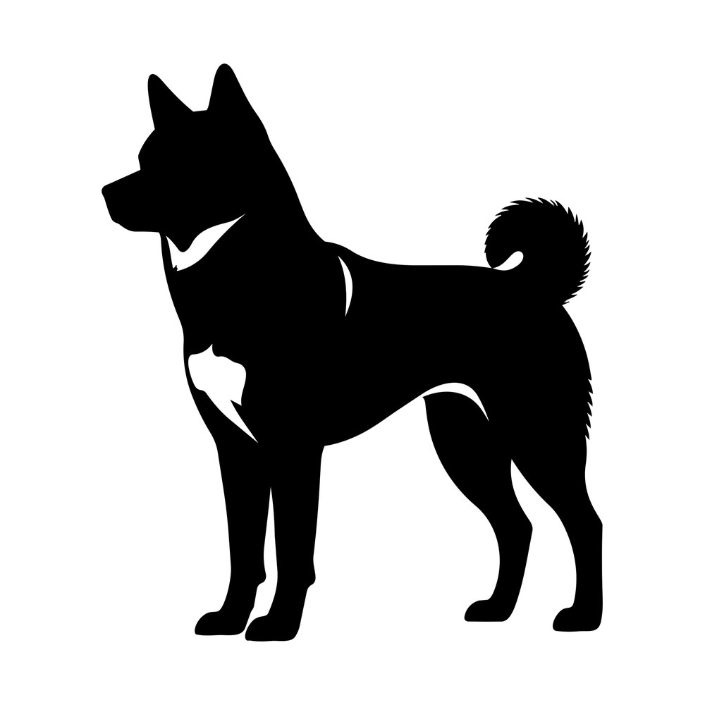 Black silhouette of a standing Akita dog in profile with pricked ears and curled bushy tail