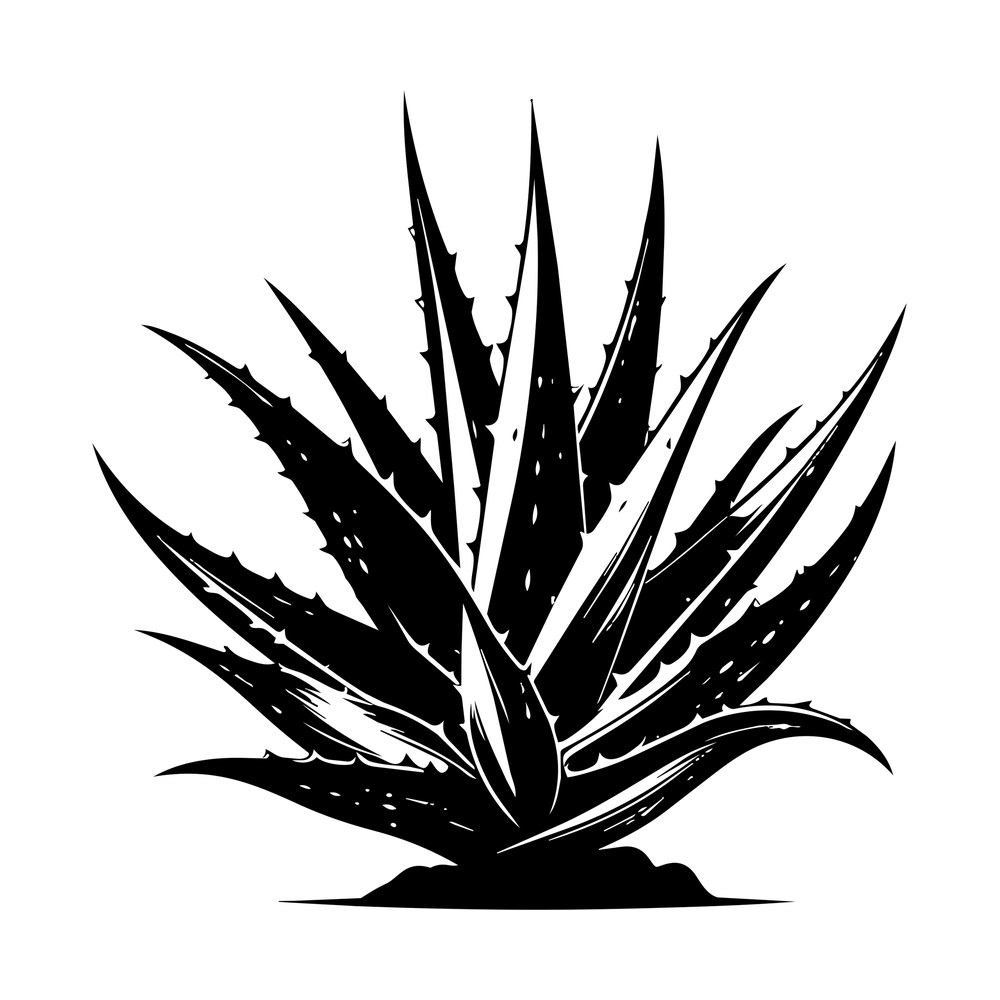 Black aloe vera plant silhouette with spiked leaves, speckled markings and a small soil mound