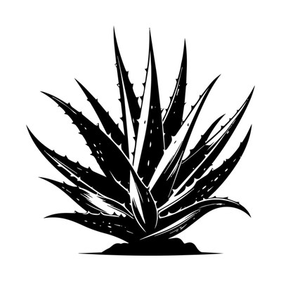 Aloe Vera SVG cut file