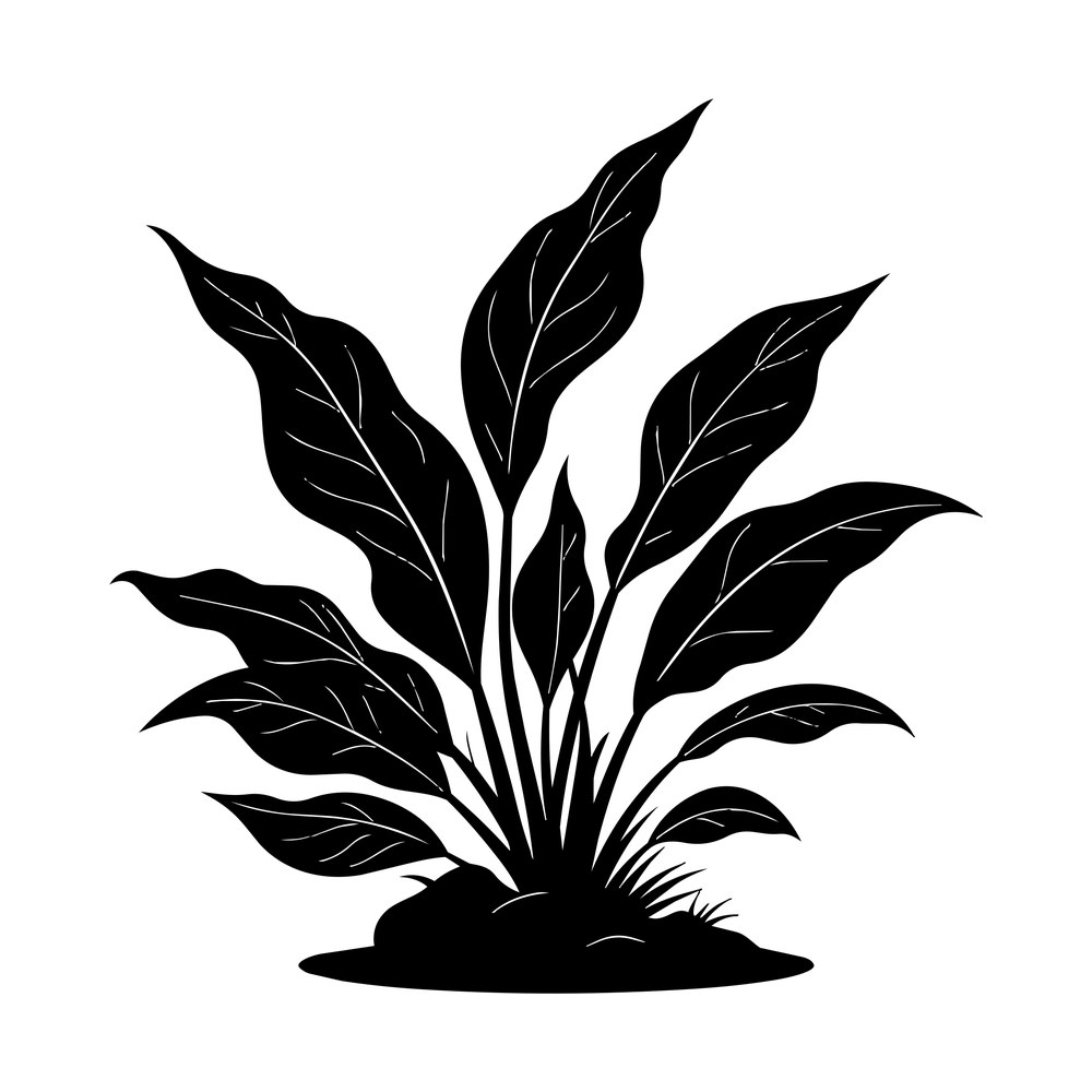 Aquarium Plant Sticker Front – original artwork without the sticker border