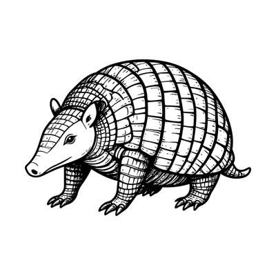 Armadillo Doodle SVG cut file