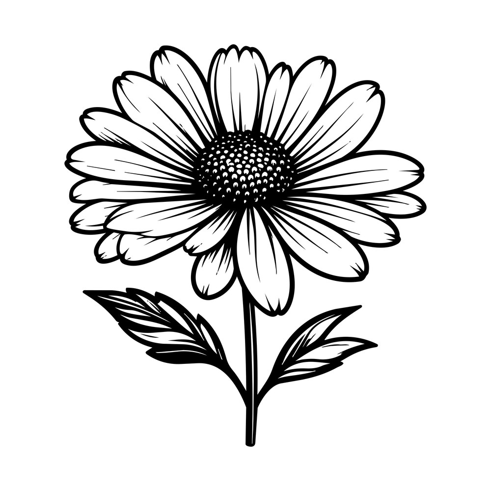 Aster Line SVG cut file – SVG, PNG, DXF