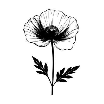 August Poppy Birth Flower SVG cut file