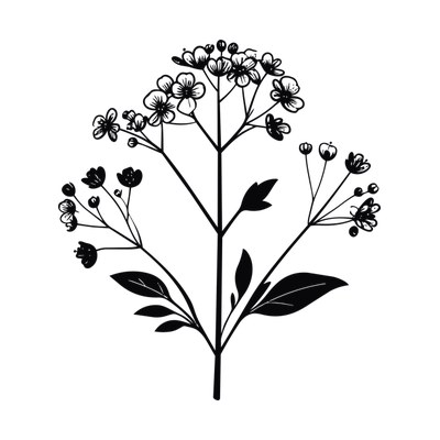 Baby Breath Line SVG cut file