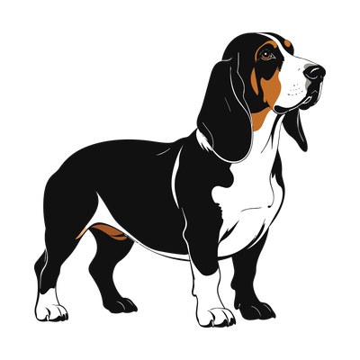Basset Hound SVG cut file