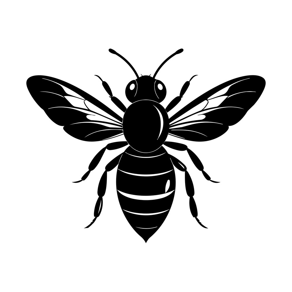 Black honey bee silhouette from above with spread veined wings, striped body and thin antennae