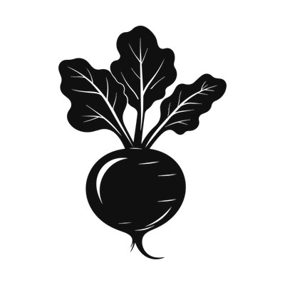 Beet Silhouette SVG cut file