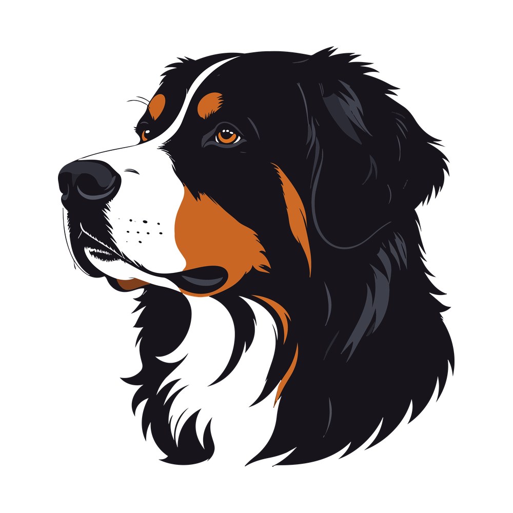 Tricolor Bernese mountain dog head in profile with rust brows, white blaze and black coat