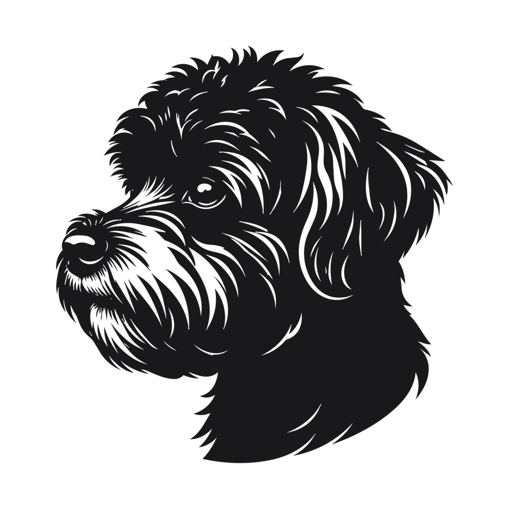 Bichon Frise Silhouette SVG cut file – SVG, PNG, DXF