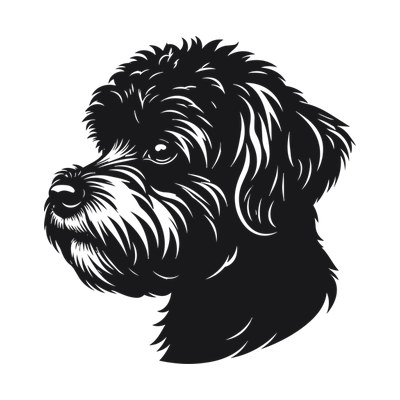 Bichon Frise Silhouette SVG cut file