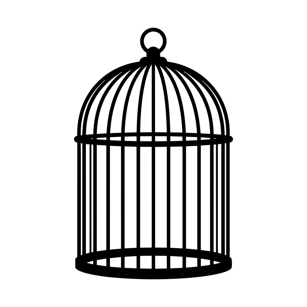 Tall vintage birdcage silhouette with domed top, hanging ring and vertical bars