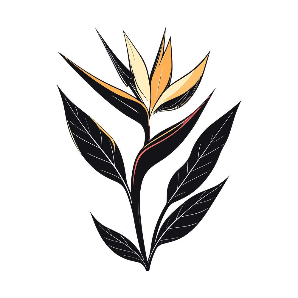 Bird of paradise flower with orange and cream petals above black leaves with pale veins