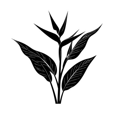 Bird Of Paradise Plant SVG cut file