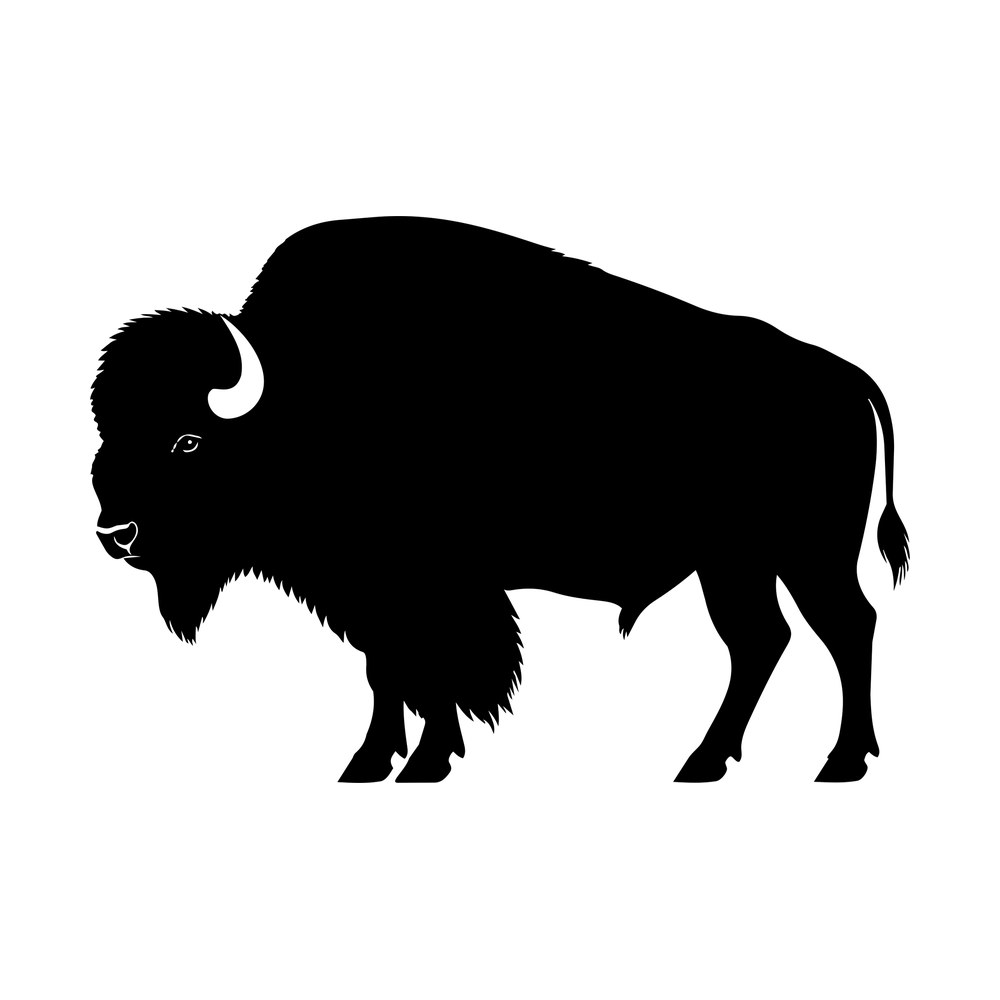 Black silhouette of an American bison standing in profile with shaggy hump, horn and tufted tail