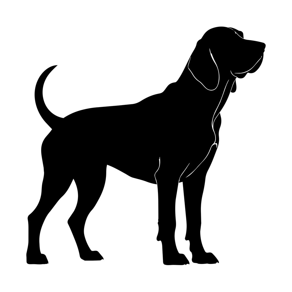 Black silhouette of a bloodhound standing in profile with long ears, jowls and curved tail