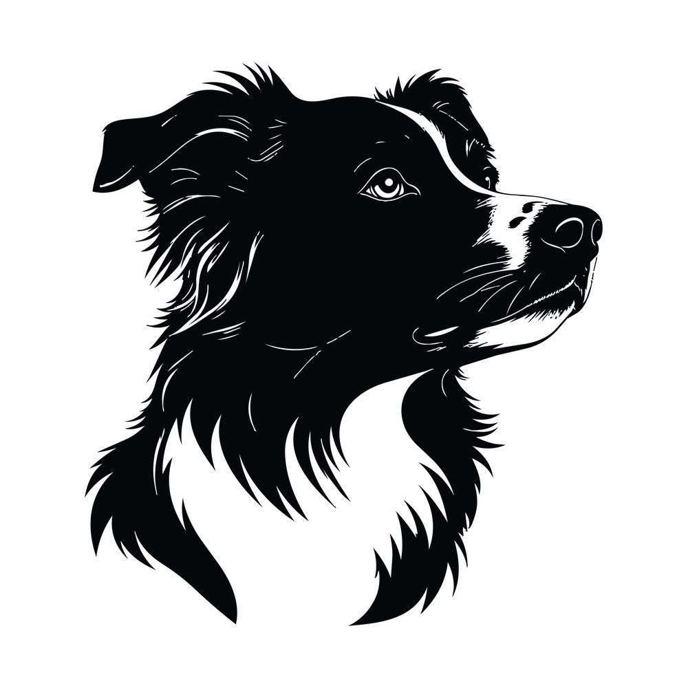 Border Collie Silhouette SVG cut file – SVG, PNG, DXF