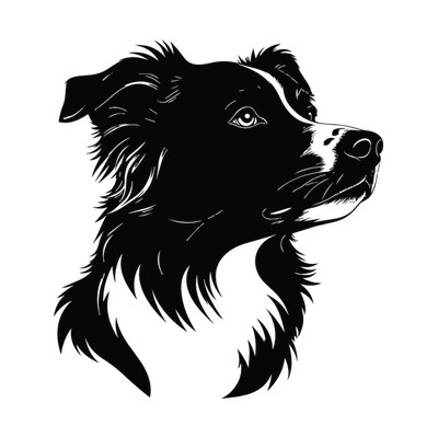 Border Collie Silhouette SVG cut file