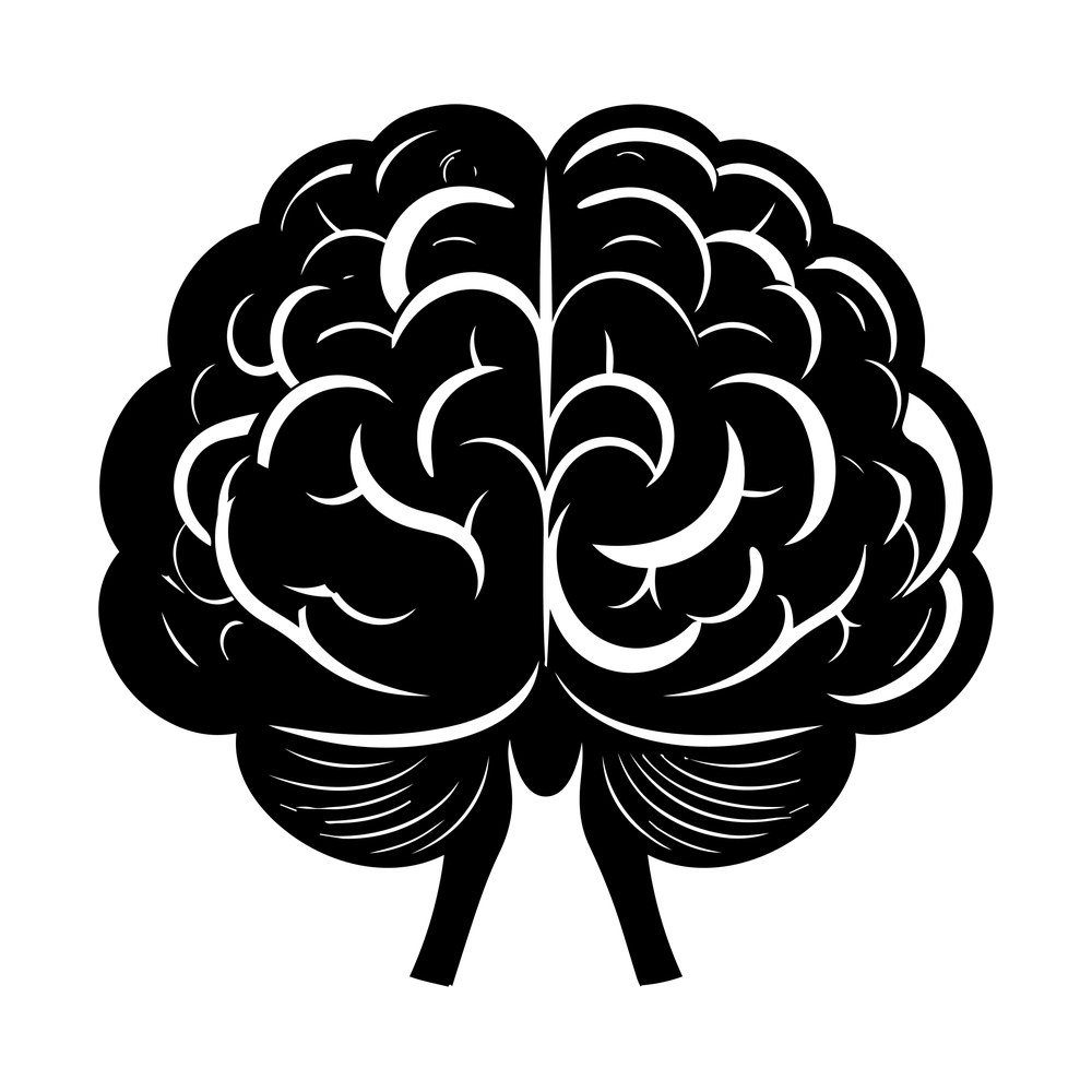 One-color brain illustration, front view, swirling folds and hatched cerebellum with two stems