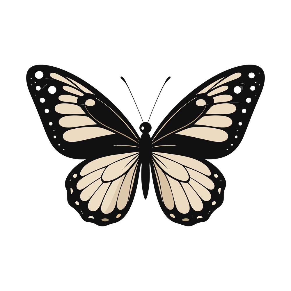 Butterfly with rounded wings in black and cream, dotted wing borders and thin curved antennae