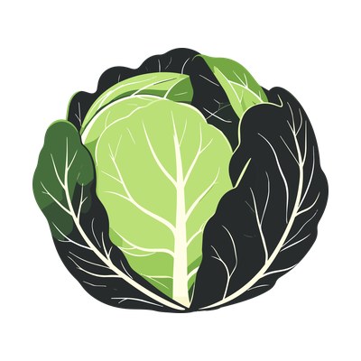 Cabbage Chunky SVG cut file