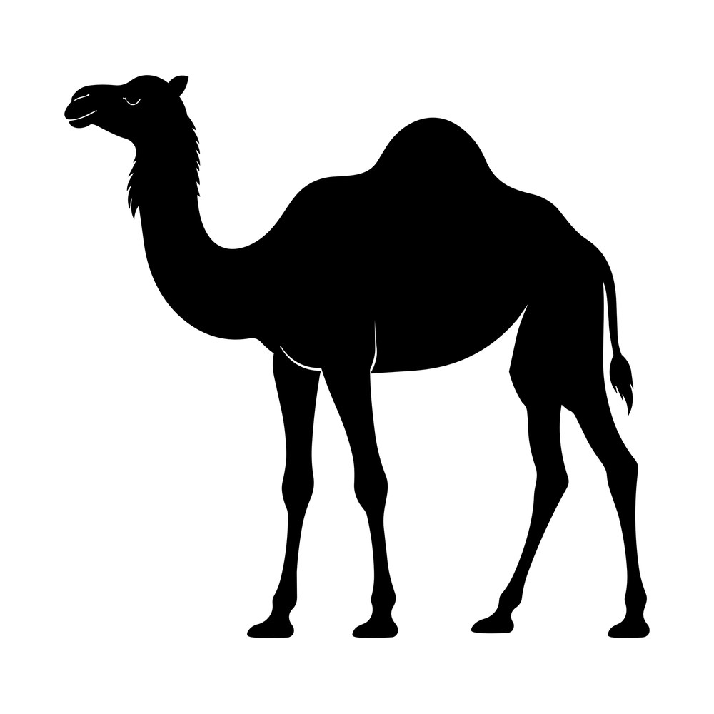 Black silhouette of a standing one-humped camel in side profile with a tufted tail