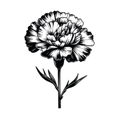 Carnation Doodle Front SVG cut file
