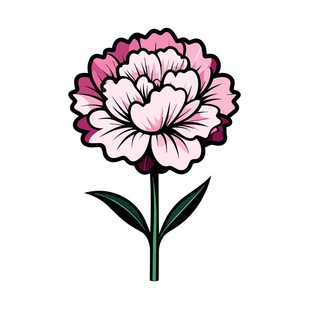 Pink ruffled carnation flower with green stem and two leaves, bold black outline