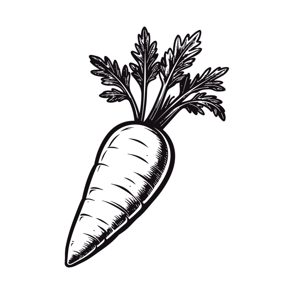 Black and white engraved illustration of a carrot with ridged body and feathery leafy top