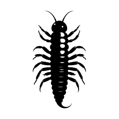 Centipede Silhouette SVG cut file