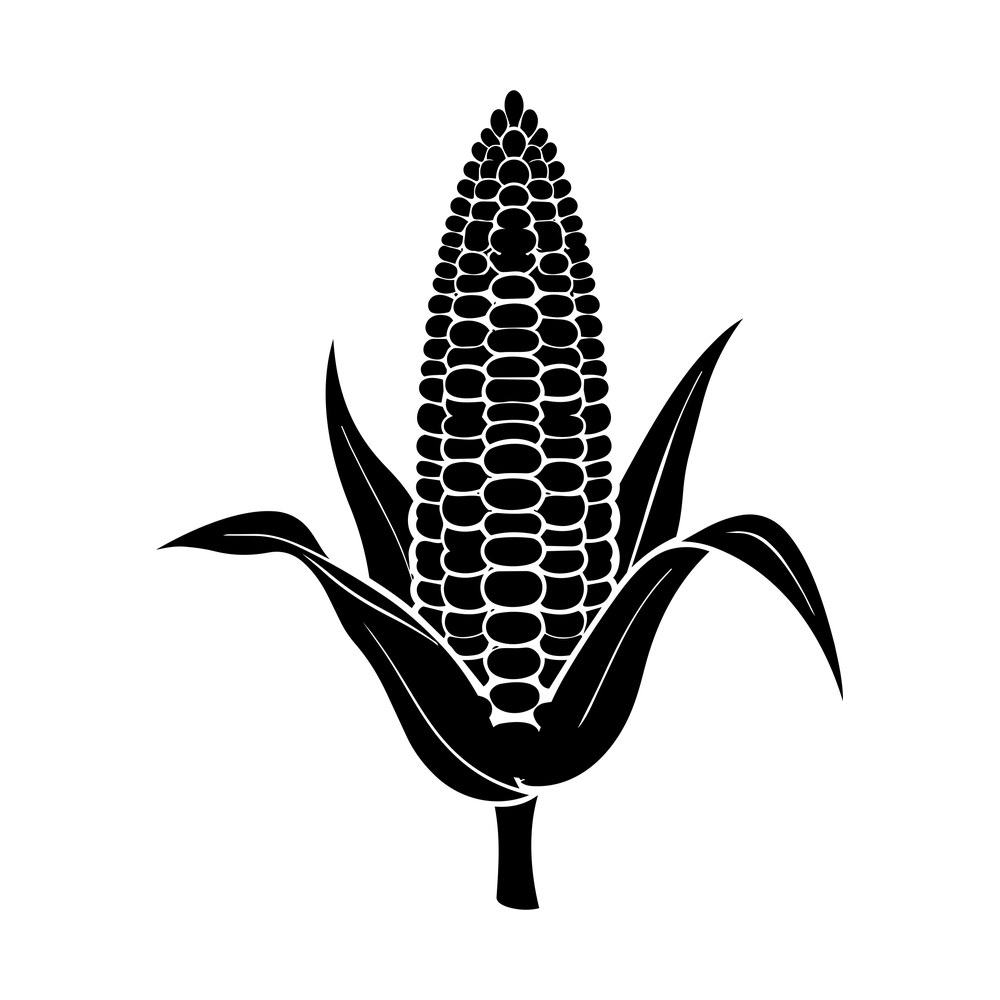 Black silhouette of an ear of corn with rows of kernels and four peeled husk leaves