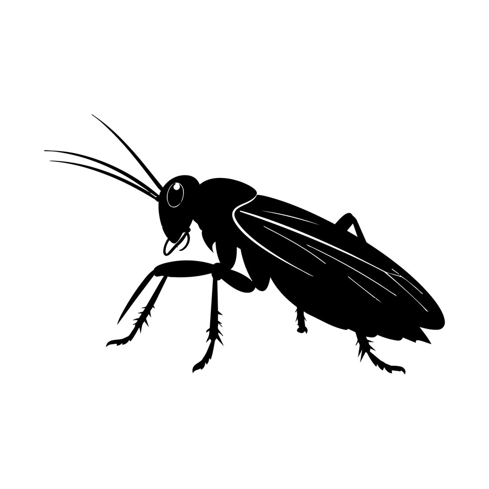 Black cricket silhouette in profile with long antennae, veined wings and spurred hind legs