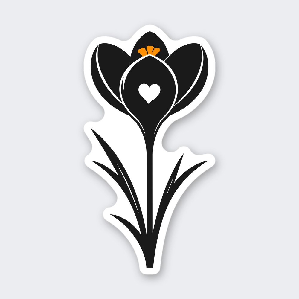 Black crocus flower with heart-shaped cutout, orange stamens and grass leaves at the base