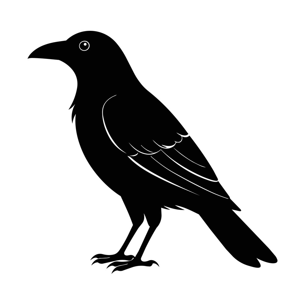 Black silhouette of a crow standing in profile with feathered wing and long tail