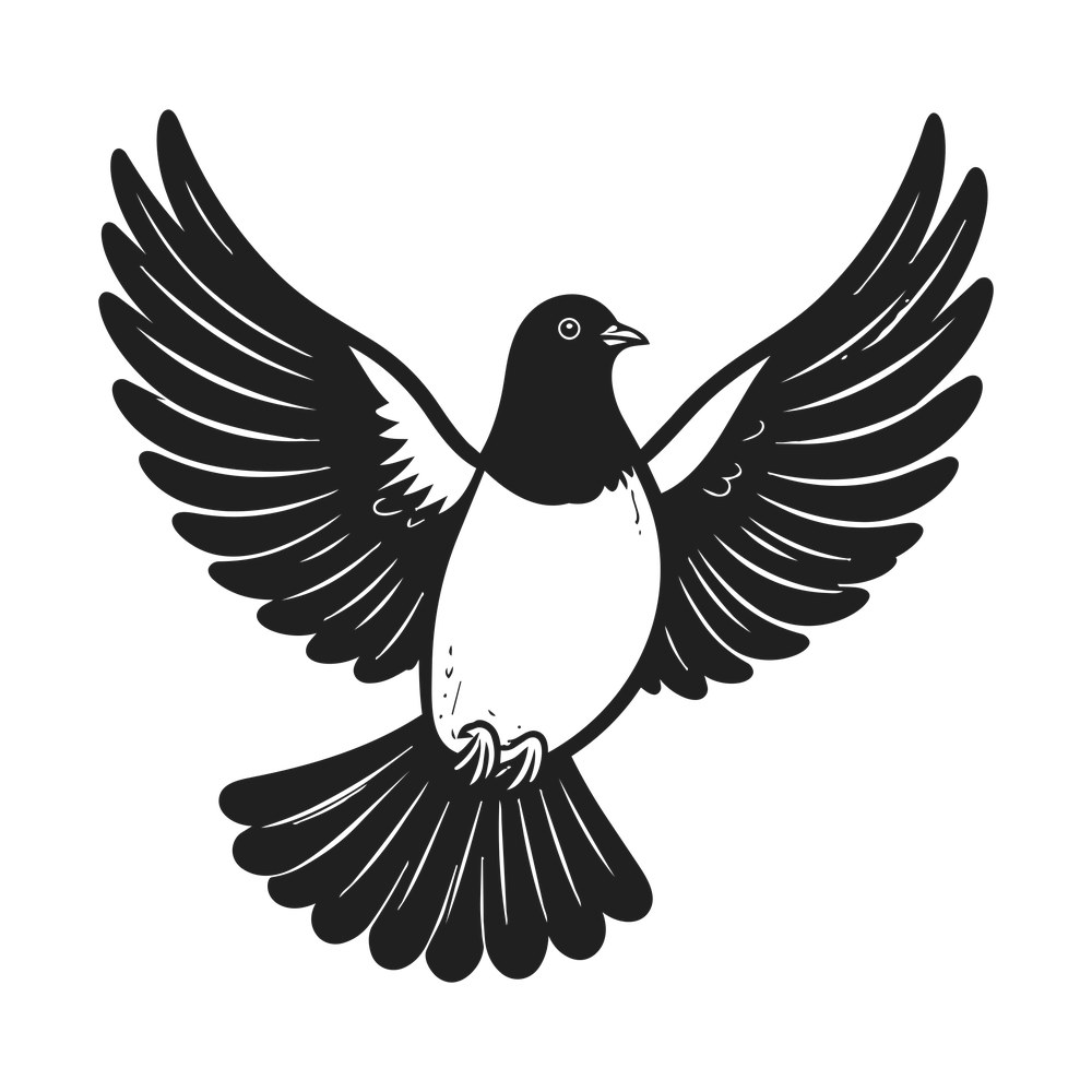 Black and white dove flying toward the viewer with wings raised and tail feathers fanned