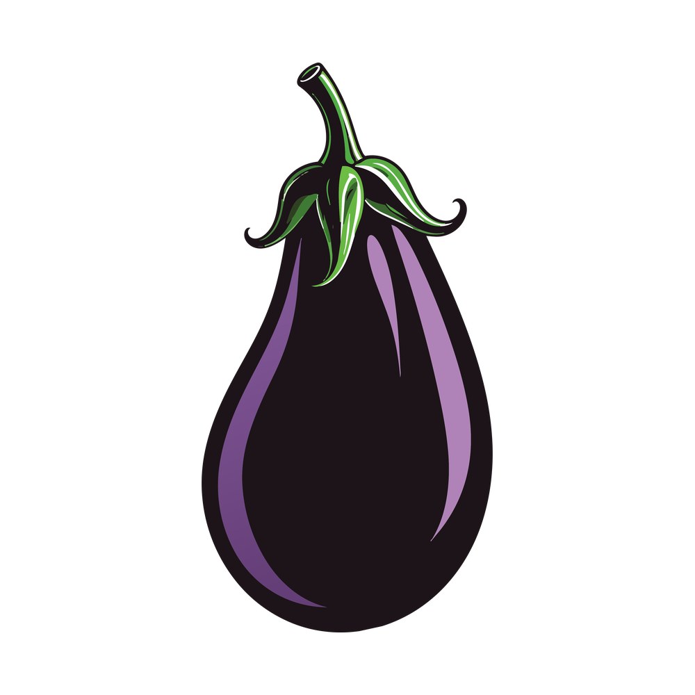 Illustrated purple eggplant with lilac highlights and a green curling leaf cap and stem