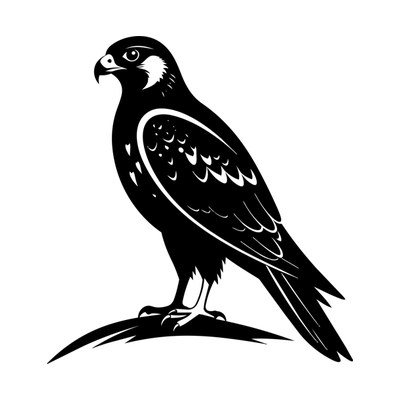 Falcon Silhouette SVG cut file