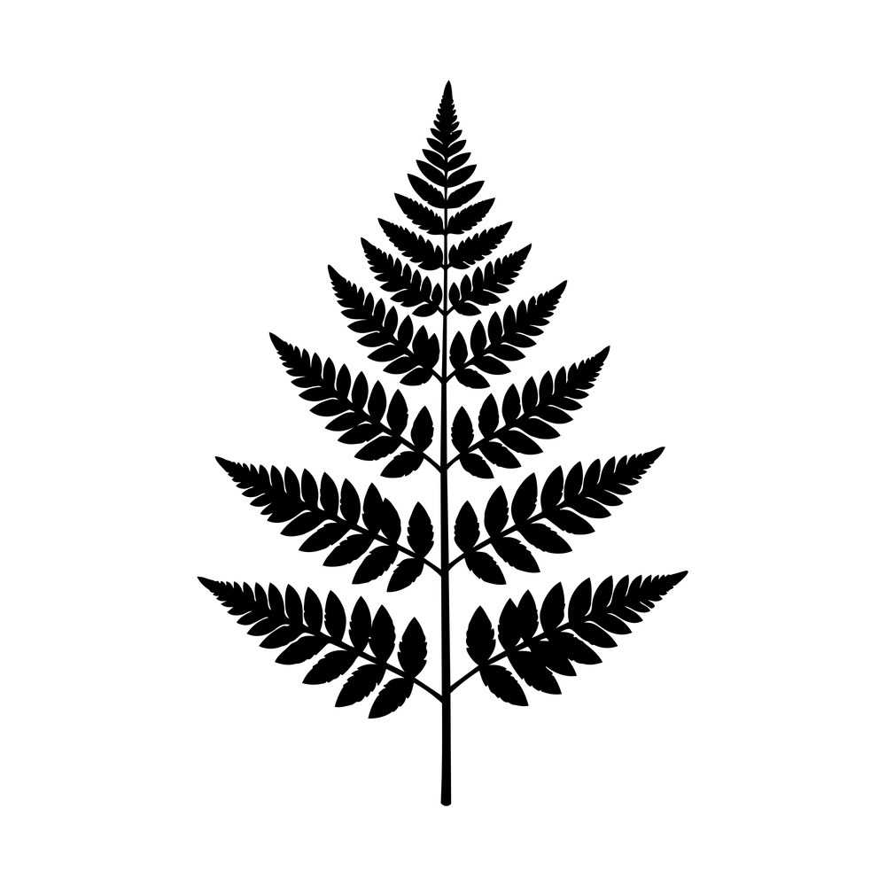 Black silhouette of an upright fern frond with paired finely serrated leaflets on a thin stem