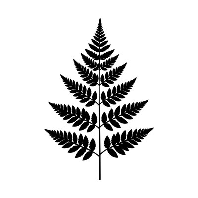 Fern Frond Geometric SVG cut file