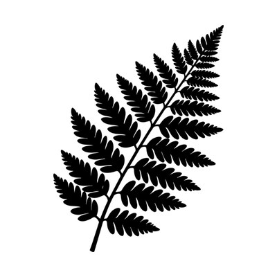 Fern Frond Silhouette Side SVG cut file