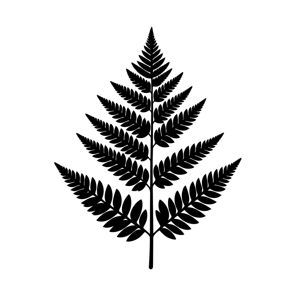 Black silhouette of a single fern frond with paired notched leaflets tapering to a point on a bare stem