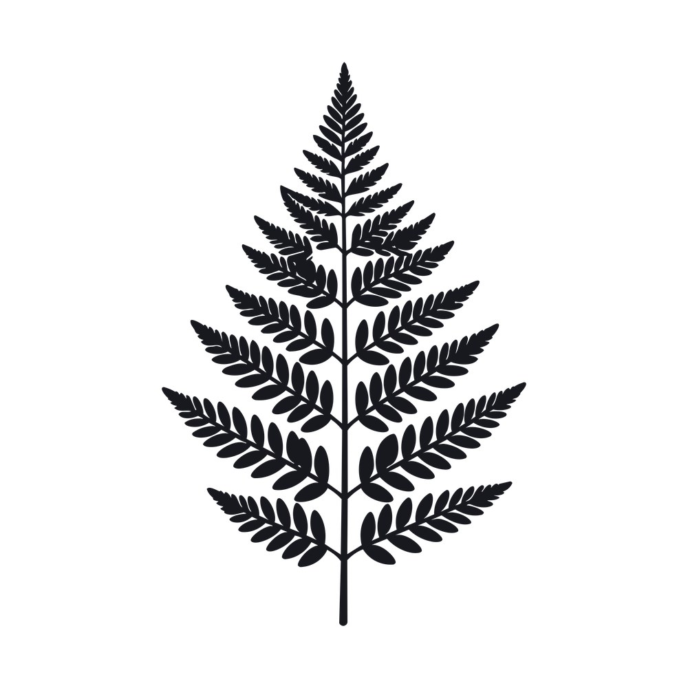Fern Leaf Line SVG cut file – SVG, PNG, DXF