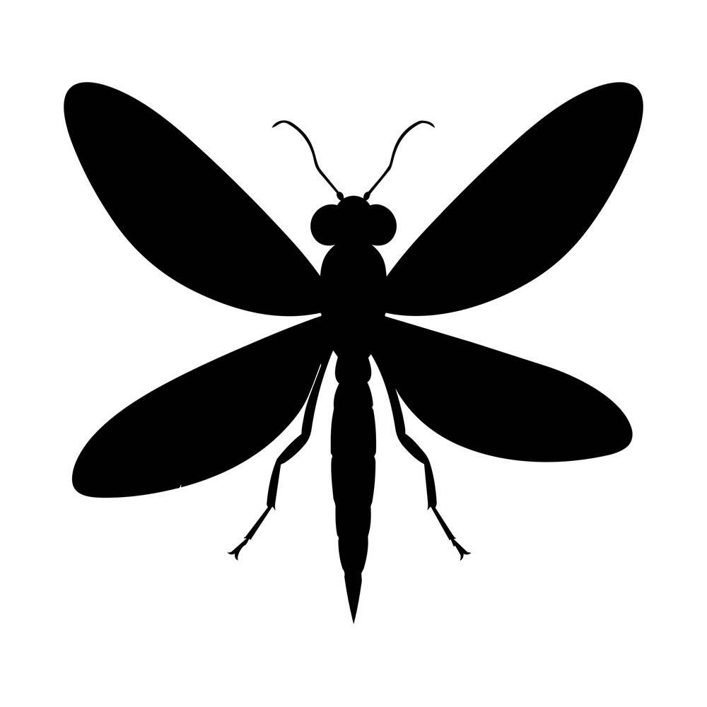 Black silhouette of a firefly-style insect with four long spread wings, slim body and curved antennae
