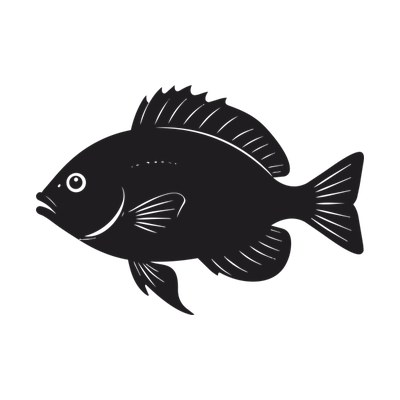 Fish SVG cut file