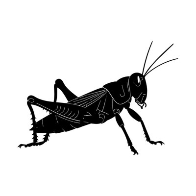 Grasshopper Silhouette SVG cut file