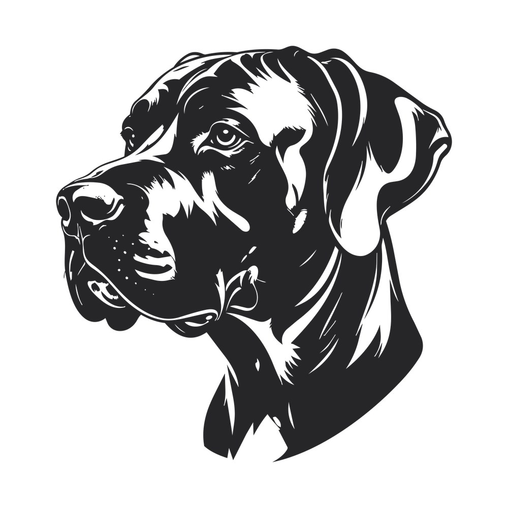 Great Dane Silhouette SVG cut file – SVG, PNG, DXF