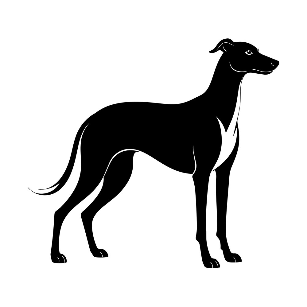 Black silhouette of a greyhound standing in profile with arched back and long tail