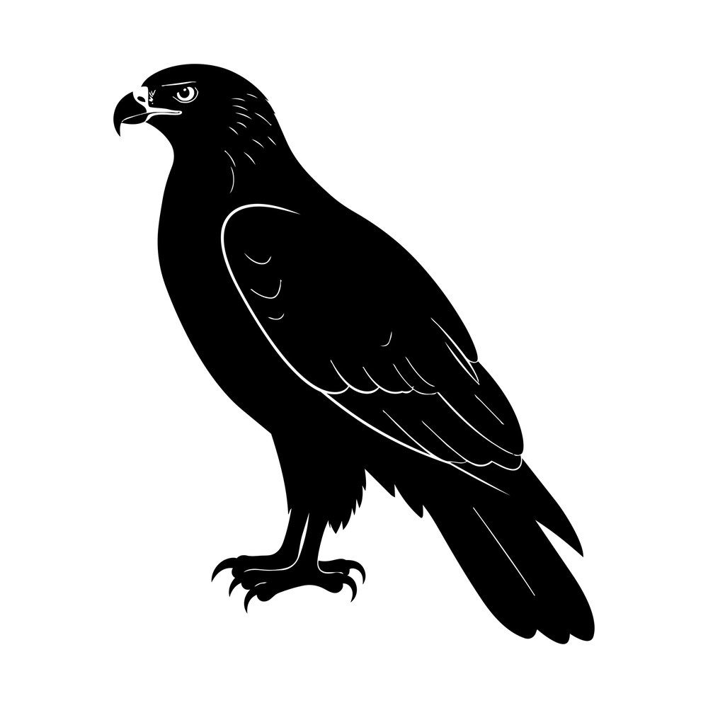 Black hawk silhouette standing in profile with hooked beak, feather lines, talons and long tail